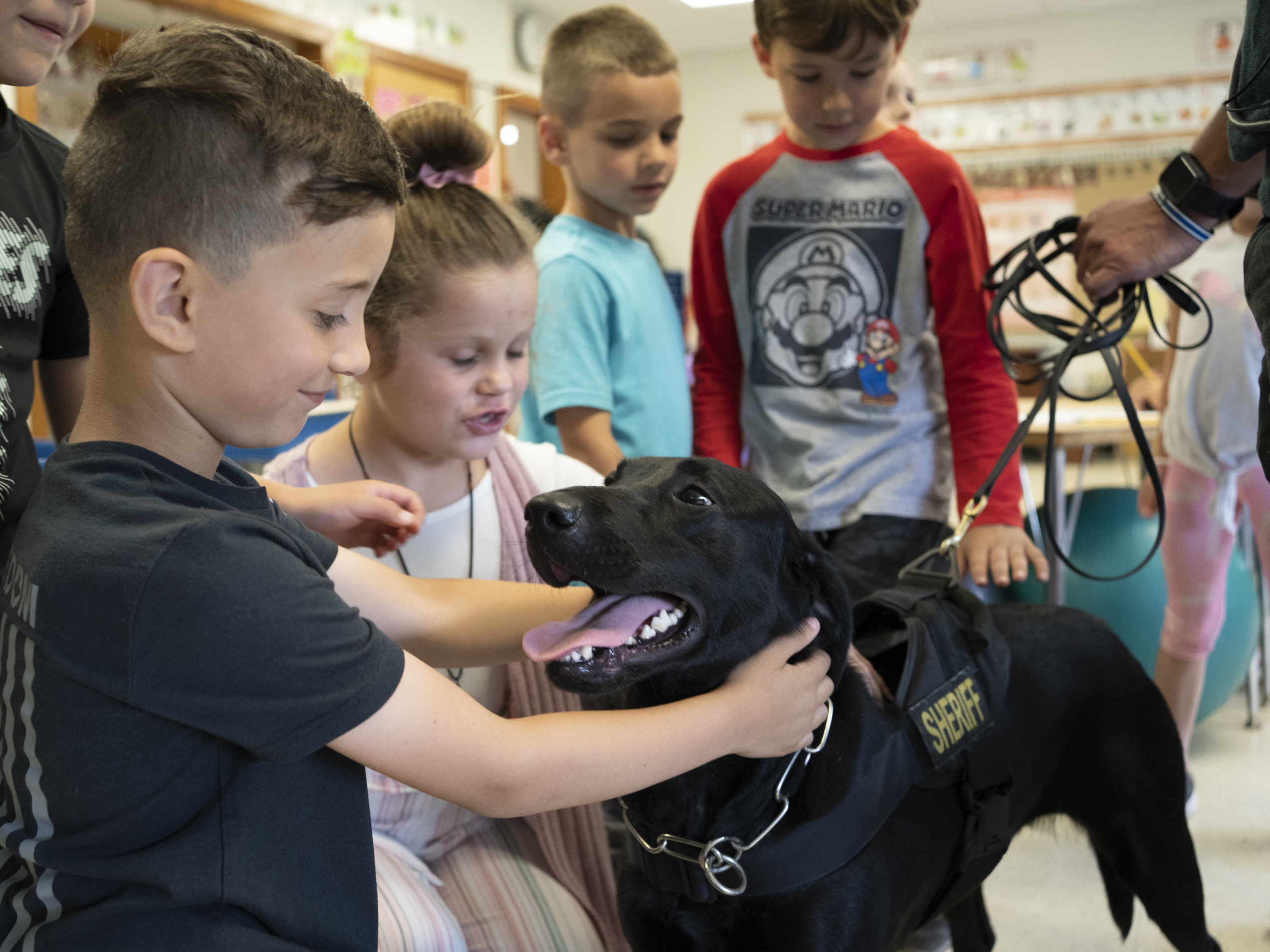 caption: Freetown Elementary School students Mason Santos, left, and Mila Talbot, right, pet Huntah the dog after she finishes checking a classroom.