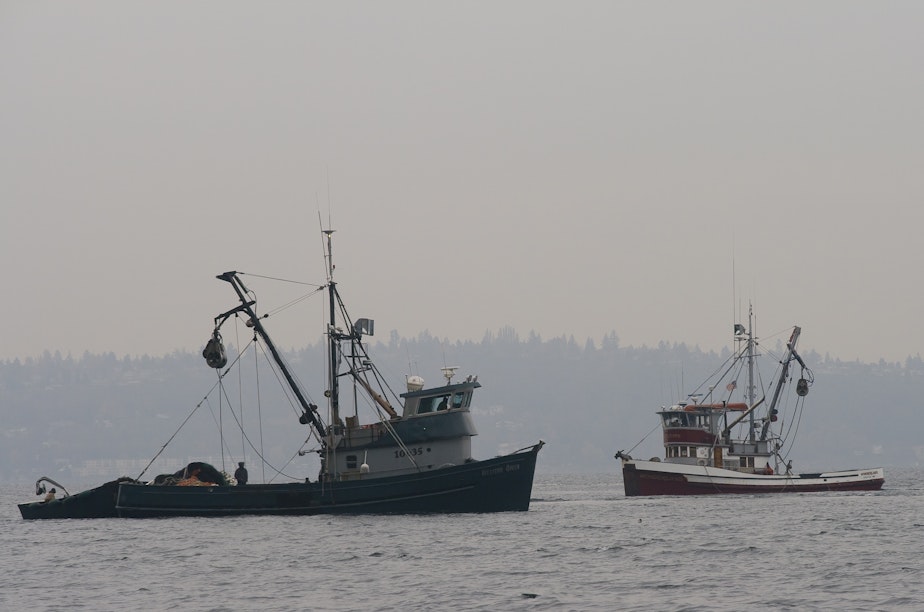 caption: Fishing boats on Puget Sound.