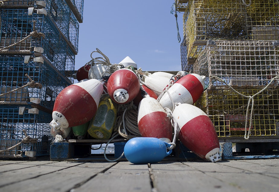 caption: Maine is the largest lobster-producing state in the U.S. Some of the gear used to catch the crustaceans poses an entanglement risk to the endangered North American right whale population.