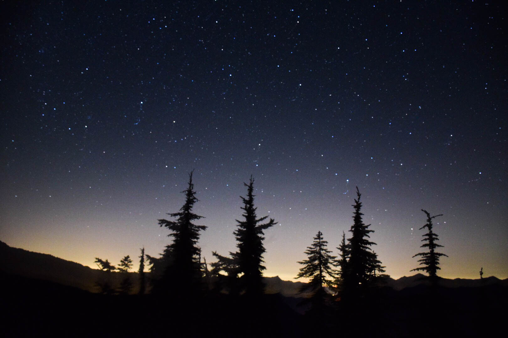 caption: Perseid meteor shower at Mount Catherine off Snoqualmie Pass near Seattle.
