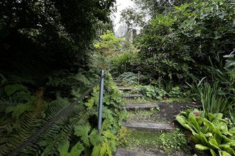 caption: Located just West of Capitol Hill's Volunteer Park, Steissguth Gardens began as a hobby for two gardeners and has since become a public garden overseen by the City of Seattle.