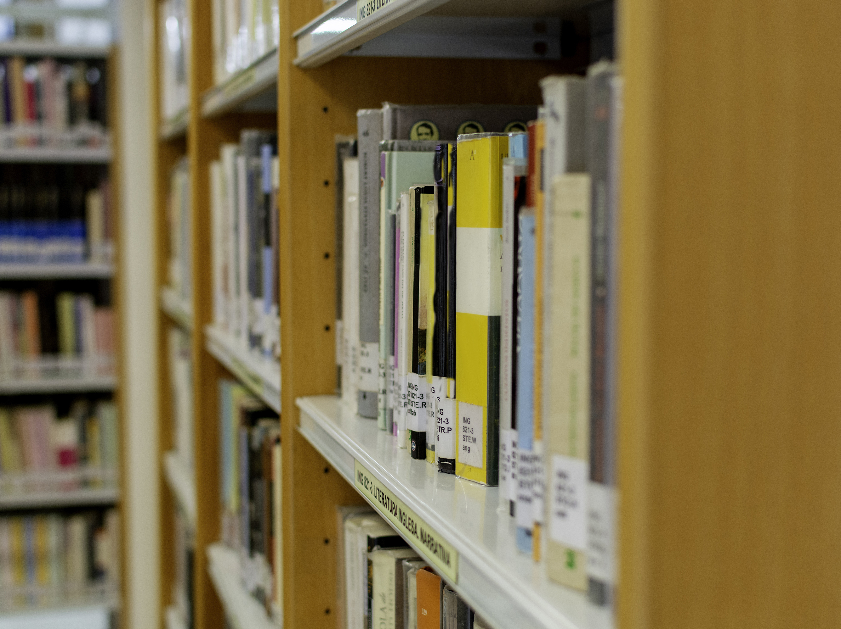 caption: A group of library patrons in Llano County, Texas, are suing the county, alleging censorship and First Amendment violations.