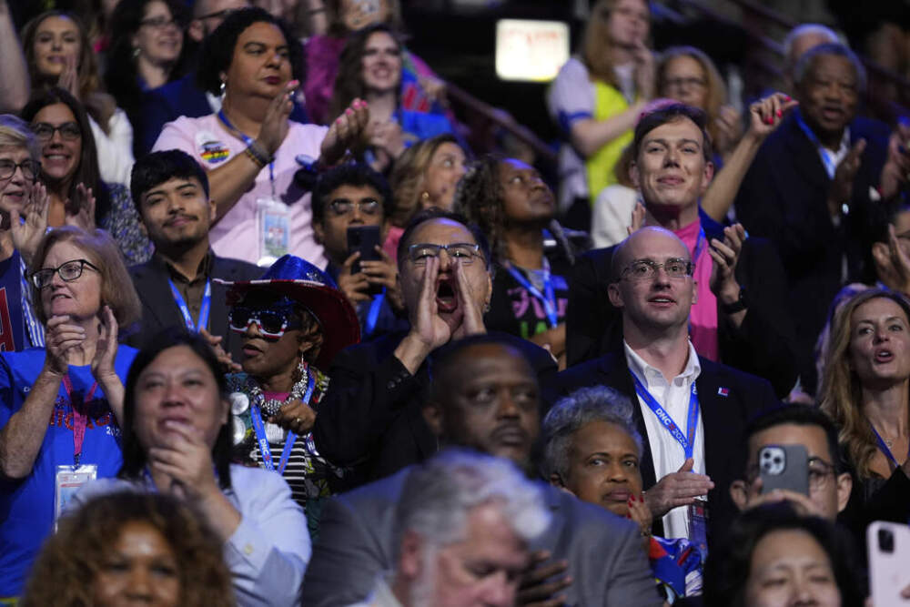 caption: Delegates cheer during the Democratic National Convention on Wednesday, Aug. 21 in Chicago. (Paul Sancya/AP)