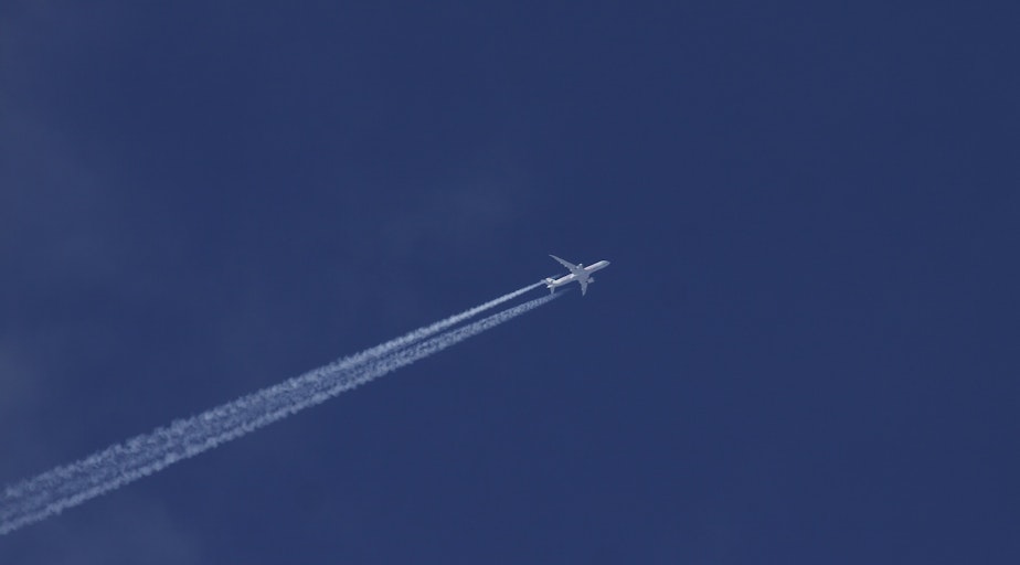 caption: A Boeing Dreamliner 787-9 flies the friendly skies.