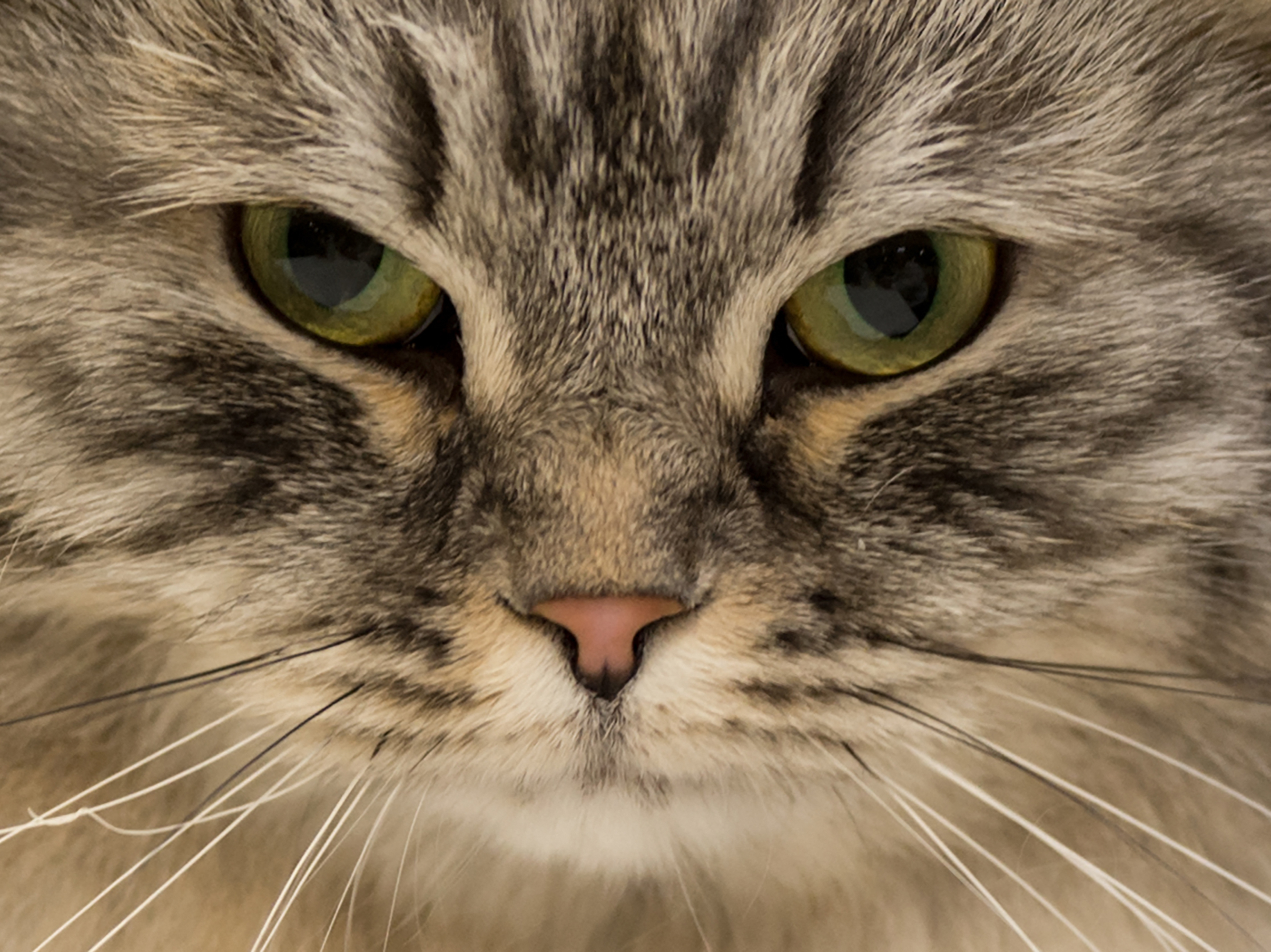 caption: Good to see you too.