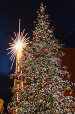 caption: The Christmas Tree In Front Of Macy's In Downtown Seattle