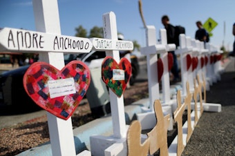 Crosses memorializing the victims of a mass shooting, which left at least 22 people dead, in El Paso, Texas. It was one of cluster of shootings that took place in a week.