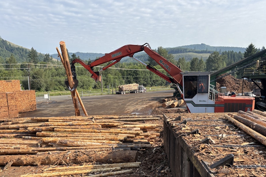 caption: After being dropped off by logging trucks, logs are lifted into the mill's conveyance system