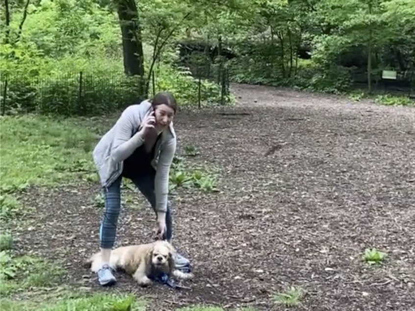 caption: The Manhattan district attorney dropped a charge against Amy Cooper, above, for calling police on a Black man after he asked her to leash her dog in New York's Central Park.
