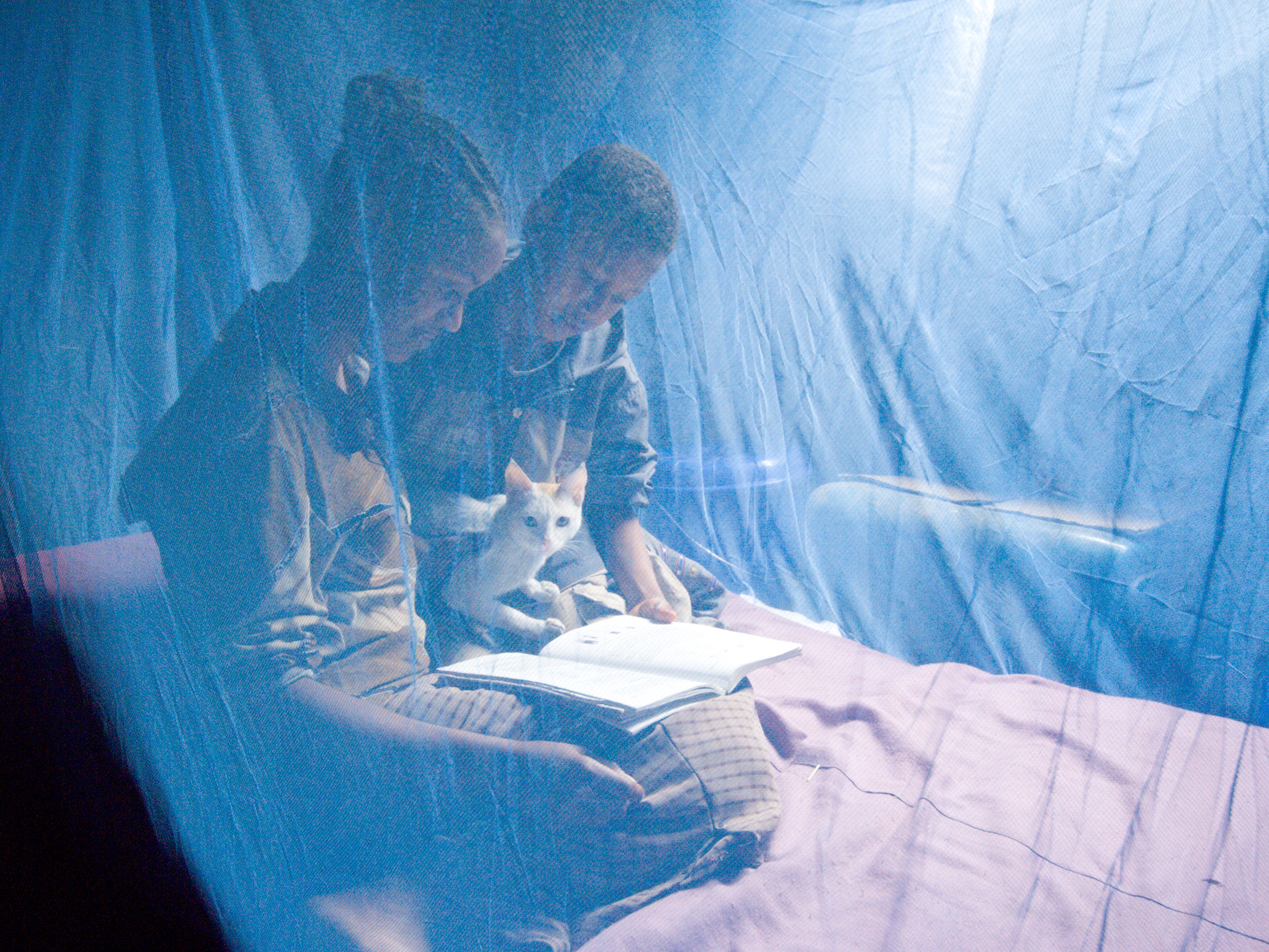 caption: In modern times, malaria is thought of as a tropical disease but evidence from ancient bones reveals a different narrative. Above: In Ambowuha, Ethiopia, Birtukan Demissie and her siblings are protected from mosquitoes that carry the disease with a bed net. Joining them is the family cat.