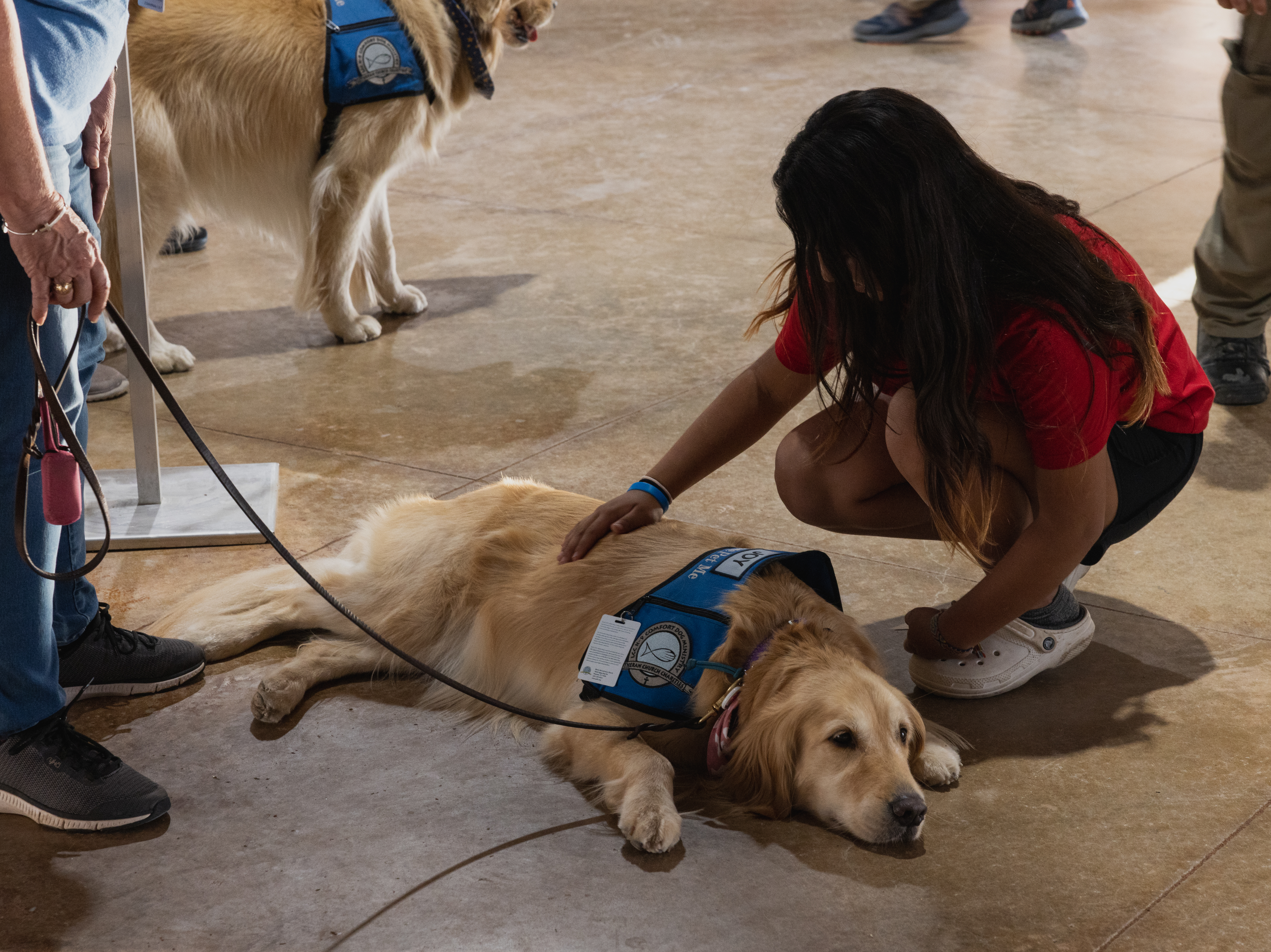 caption: A young girl pets a comfort dog at a vigil on Wednesday in Uvalde, Texas.