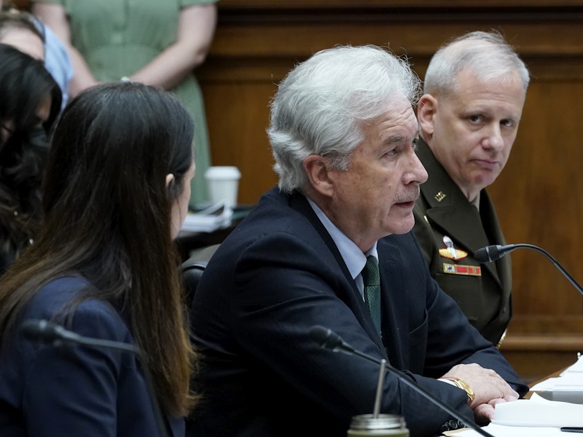 caption: CIA William Burns told the House Intelligence Committee that he believes Russian leader Vladimir Putin is 'angry and frustrated' by the slow pace of Russia's invasion of Ukraine. Burns said he expects Putin to 'double-down,' which could lead to heavy fighting for control of Ukraine's cities in the coming weeks.