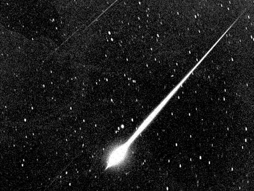 caption: This bright meteor was seen in the sky above Wrightwood, Calif., during the Leonid meteor storm of 1966. Storms are more intense than showers, but every year Leonid meteors streak across the night sky in November.
