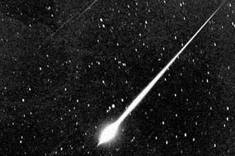 caption: This bright meteor was seen in the sky above Wrightwood, Calif., during the Leonid meteor storm of 1966. Storms are more intense than showers, but every year Leonid meteors streak across the night sky in November.