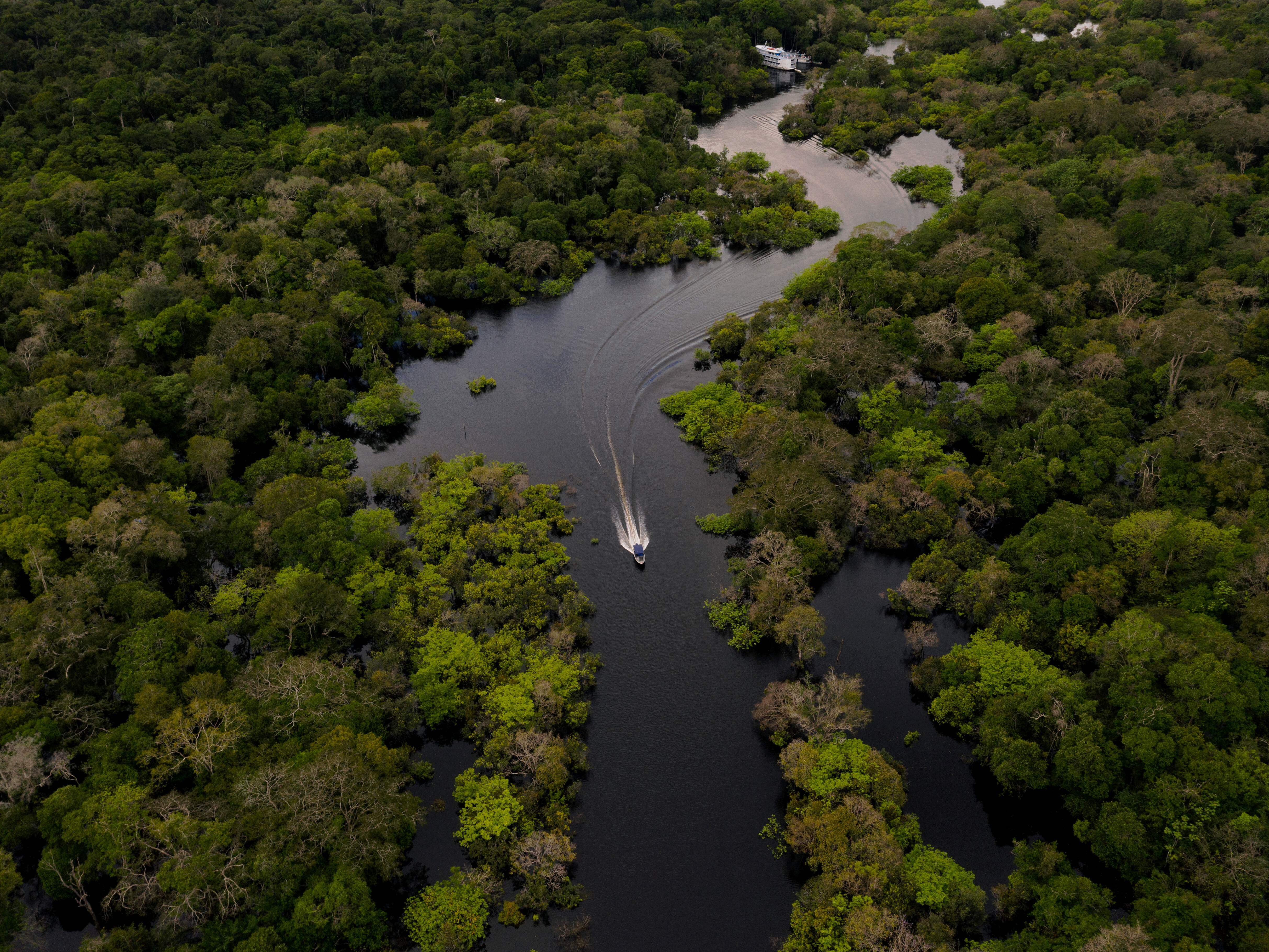 caption: Many carbon offset projects — including projects that claim to protect rainforests — aren't doing what they promise. Researchers worry the U.S. government's new guidelines have gaps.