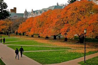 caption: The campus quad at the University of Washington.