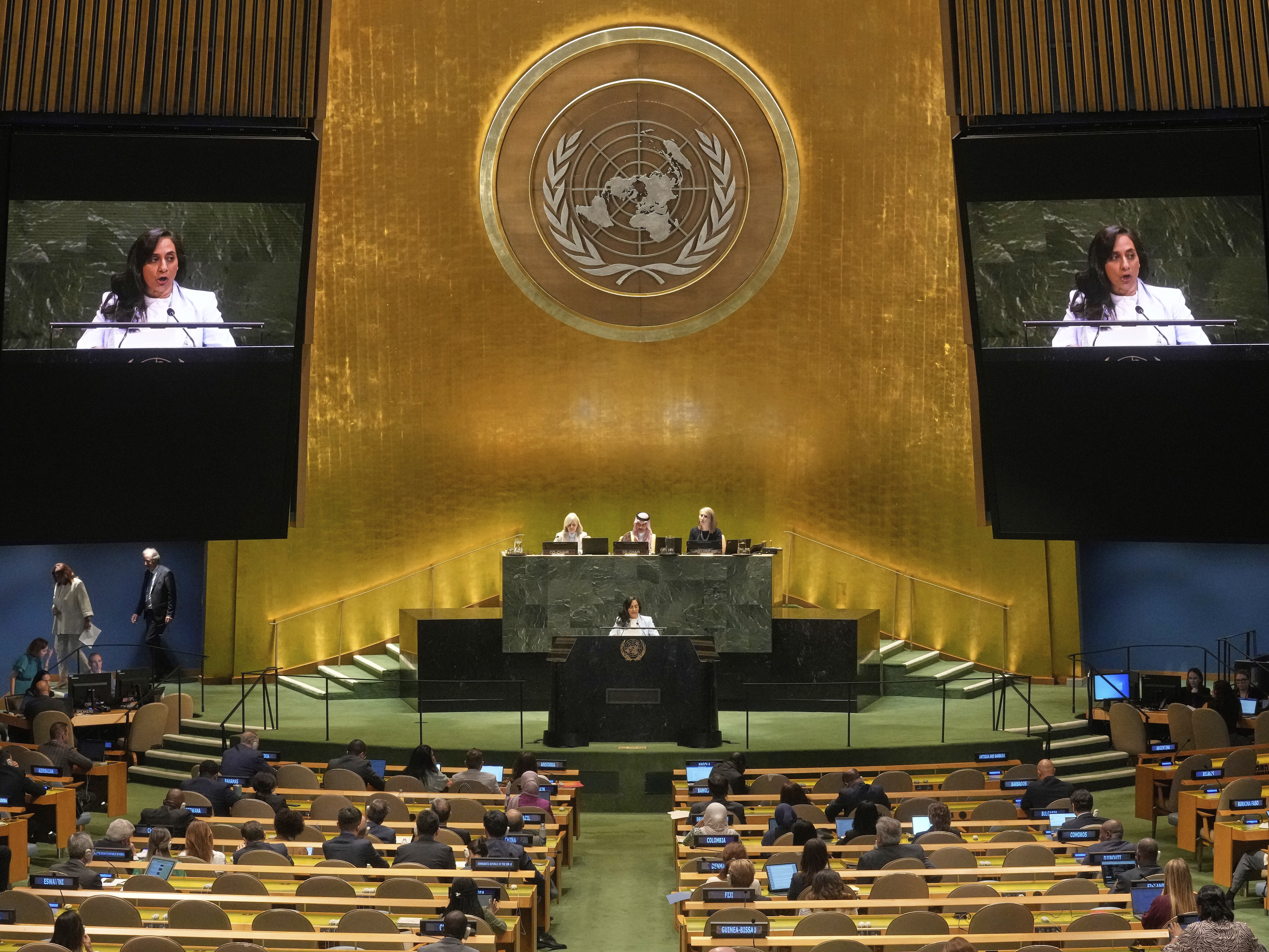 caption: Canada Foreign Minister Anita Anand addresses the United Nations General Assembly, Monday, July 28, 2025.