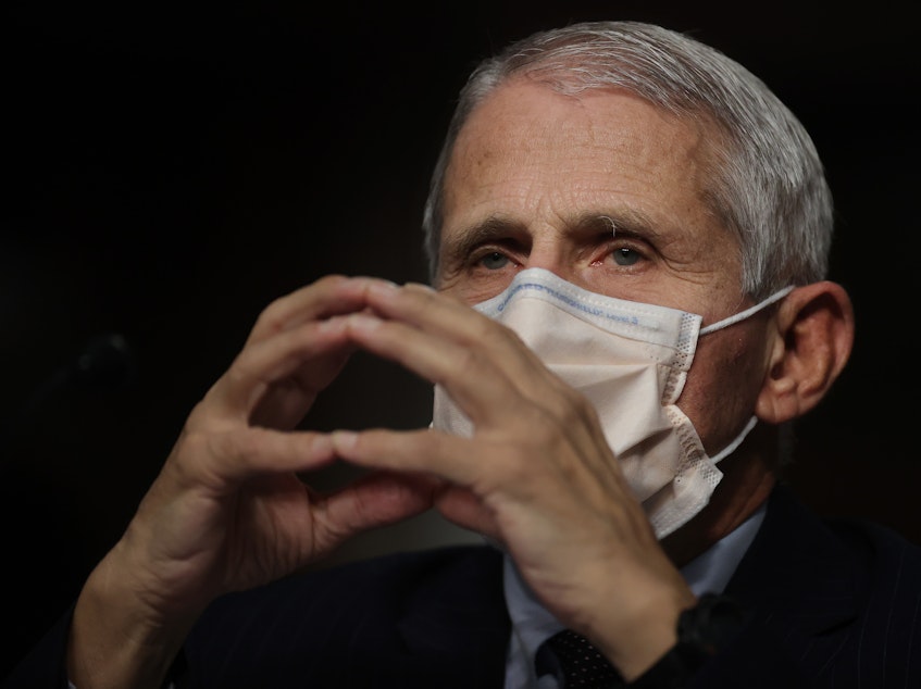 caption: Dr. Anthony Fauci says authorities are looking to keep a "level of control" over the virus through winter.