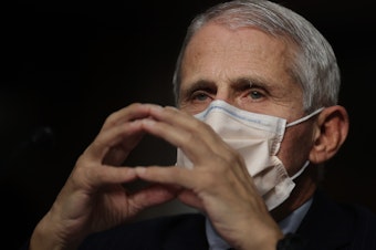 caption: Dr. Anthony Fauci says authorities are looking to keep a "level of control" over the virus through winter.