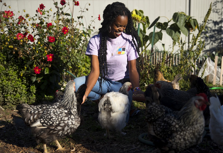caption: Nyema Clark, urban farmer and founder of Nurturing Roots, feeds chickens on Sunday, September 27, 2020, at Nurturing Roots in the Beacon Hill neighborhood of Seattle.