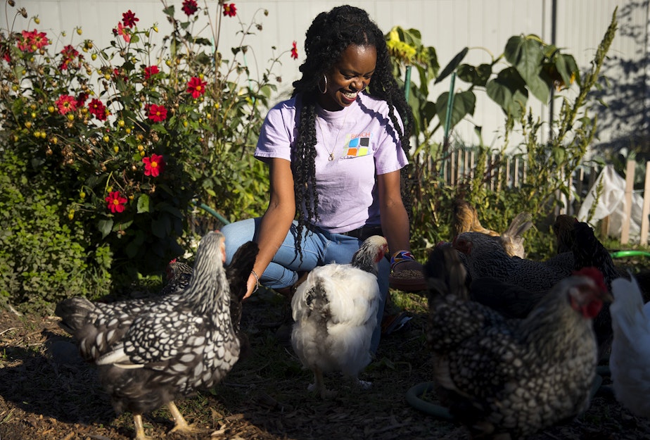 caption: Nyema Clark, urban farmer and founder of Nurturing Roots, feeds chickens on Sunday, September 27, 2020, at Nurturing Roots in the Beacon Hill neighborhood of Seattle.