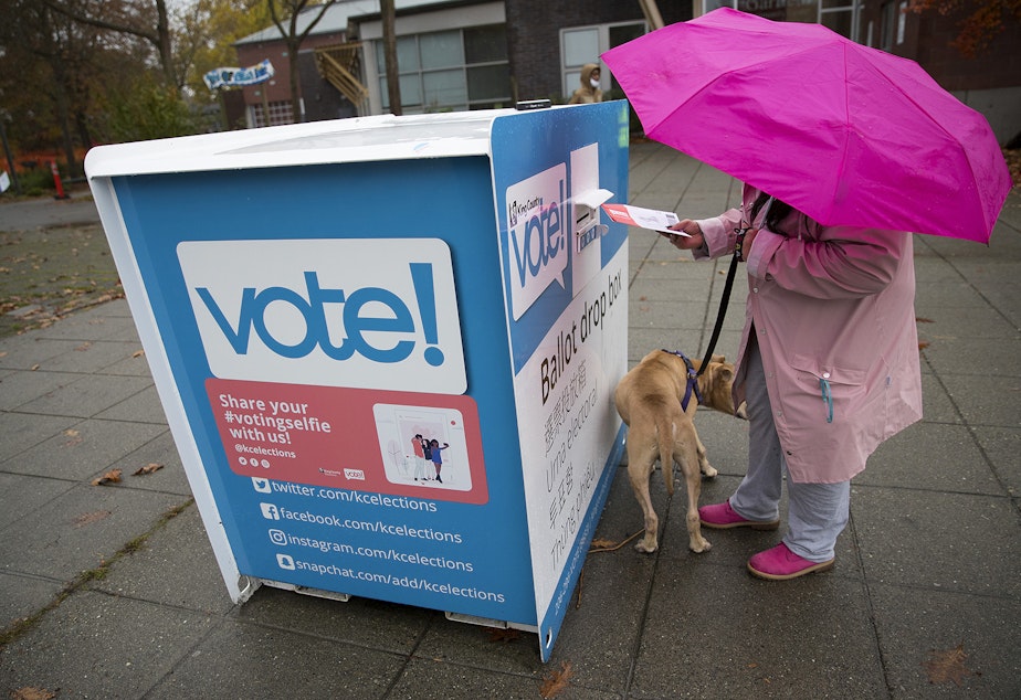 caption: A King County voter who preferred not to be identified drops of their ballot while using a hot pink umbrella on Tuesday, November 3, 2020, at the Garfield Community Center drop box along East Cherry Street in Seattle.