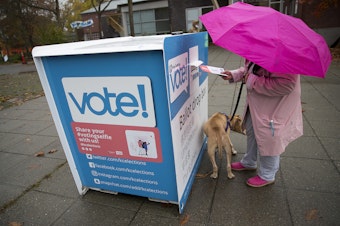 caption: A King County voter who preferred not to be identified drops of their ballot while using a hot pink umbrella on Tuesday, November 3, 2020, at the Garfield Community Center drop box along East Cherry Street in Seattle.
