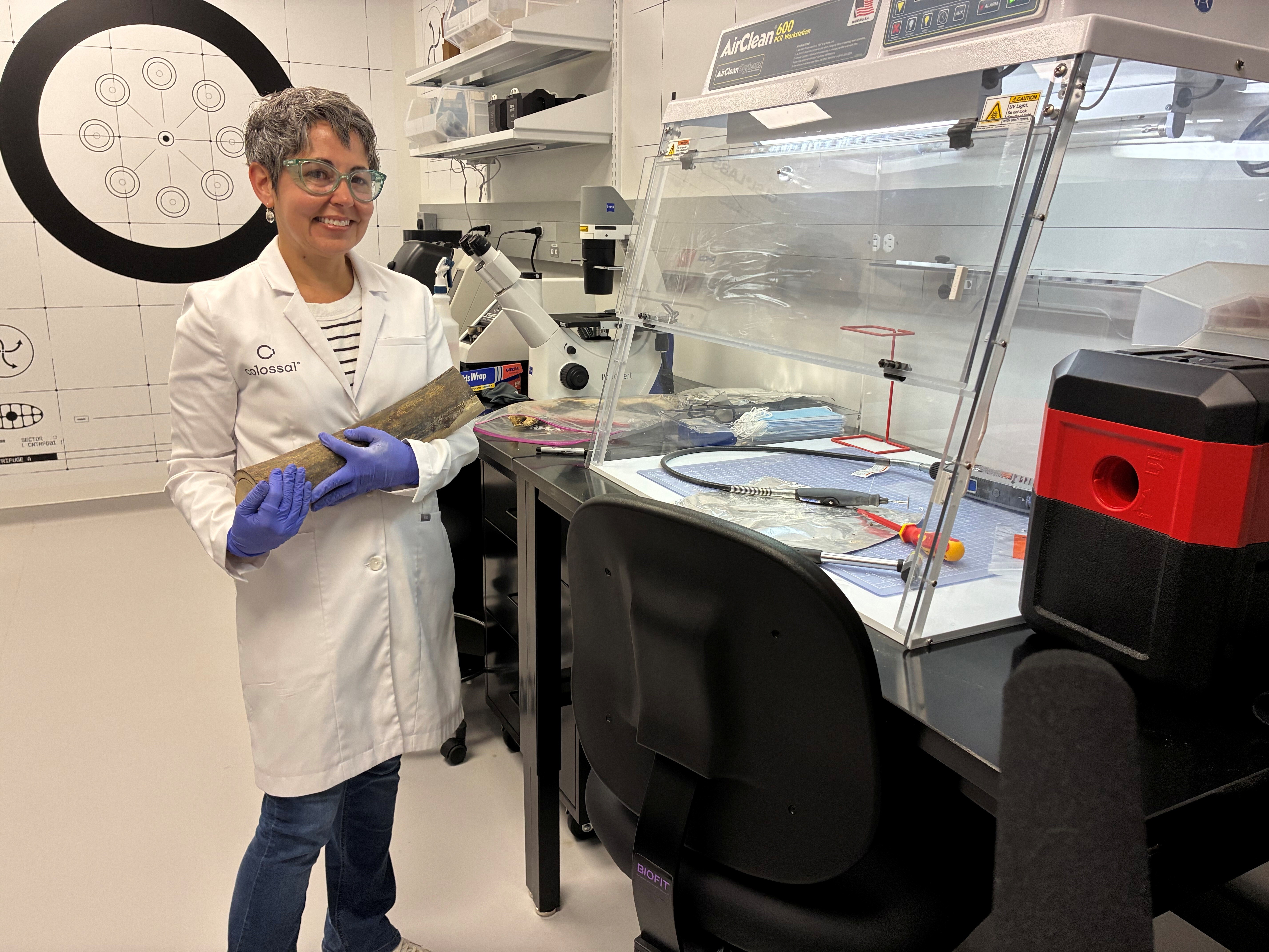 caption: Colossal Biosciences scientist Beth Shapiro holds a portion of a woolly mammoth tusk recovered from the Arctic.
