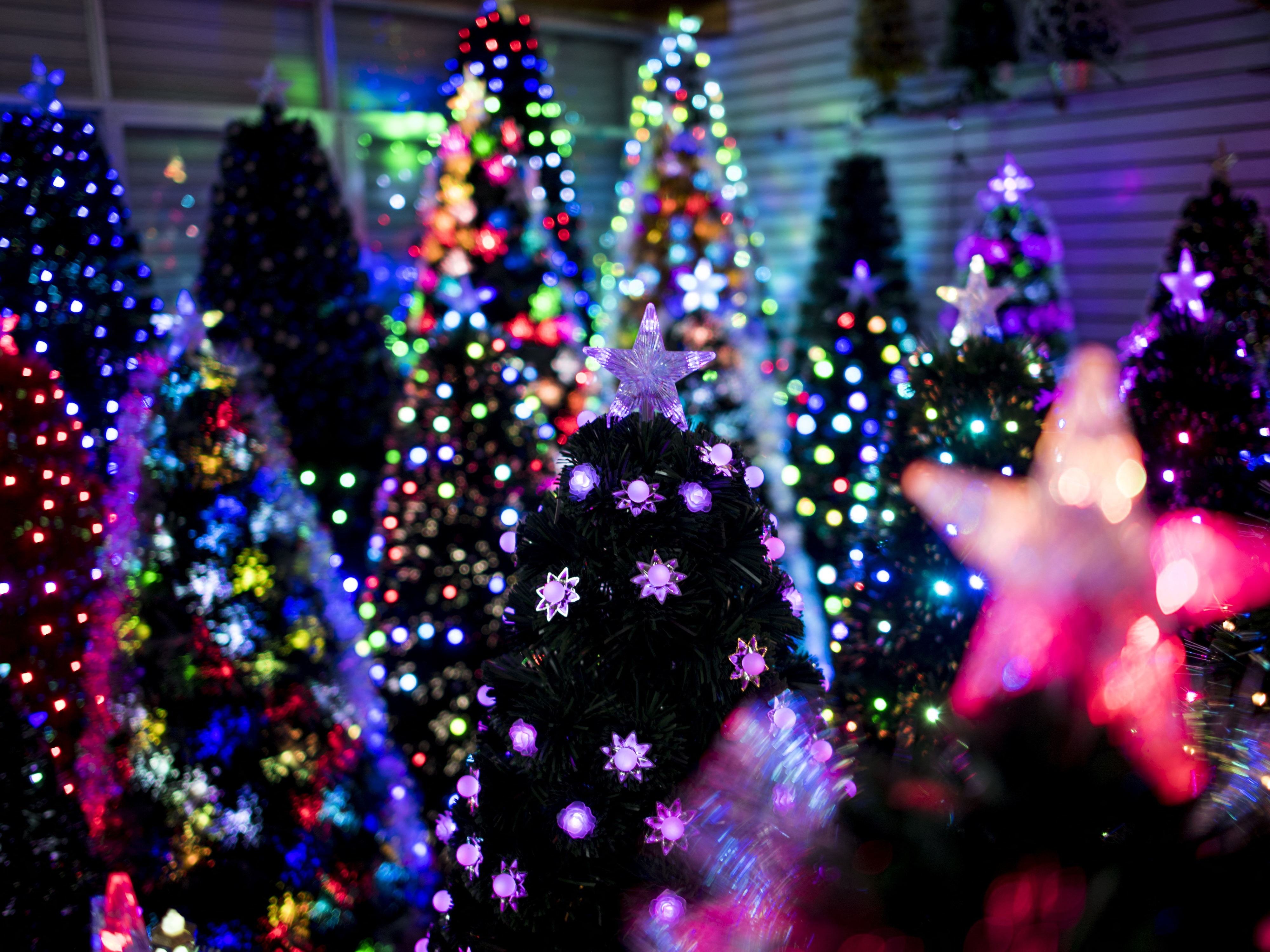 caption: Artificial Christmas trees stand in a display room at Sun Xudan's Christmas tree factory in Yiwu, China, in 2016.