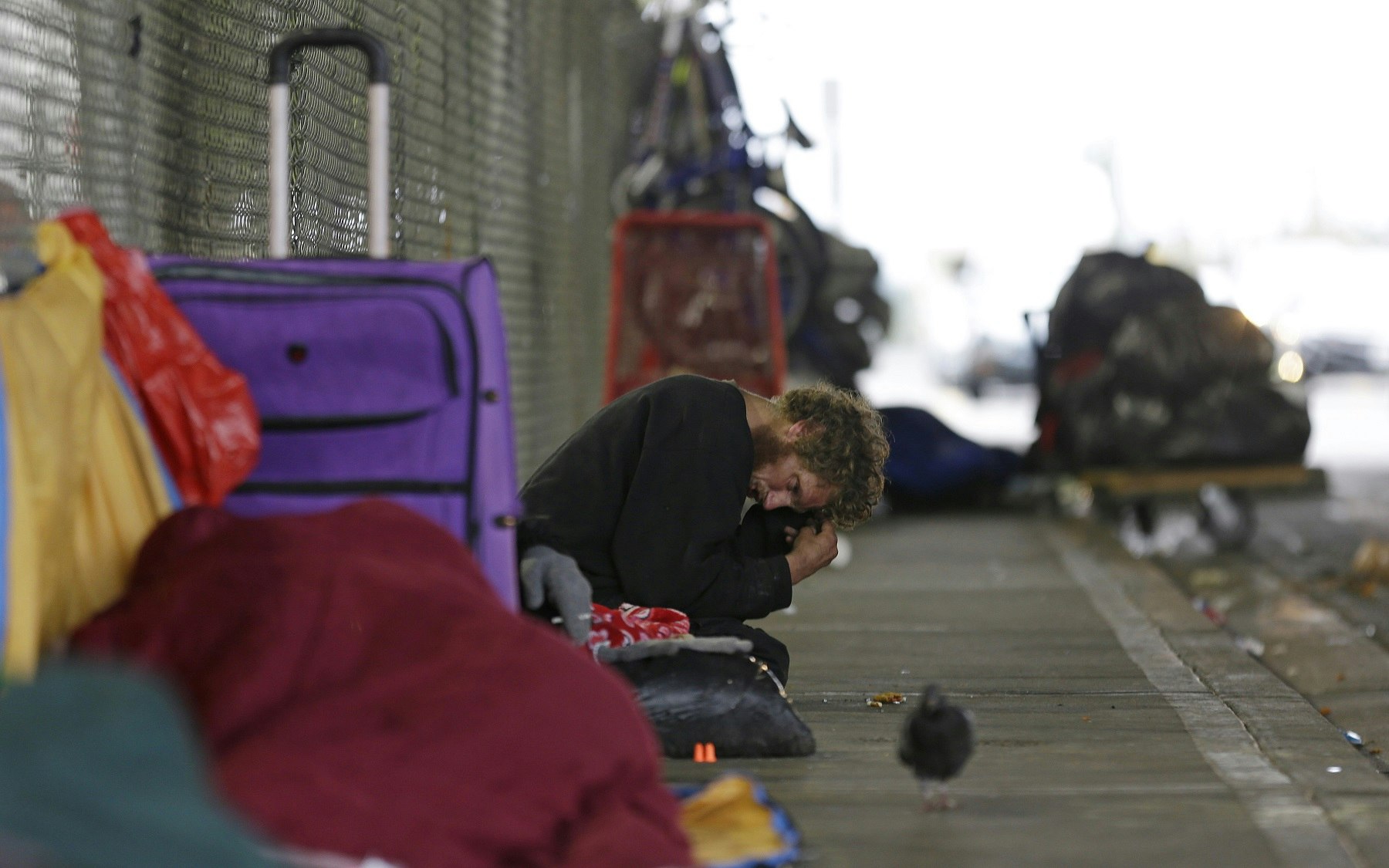 KUOW - Seattle suburbs crack down on homeless camping with fines and jail time - Vimarsana News