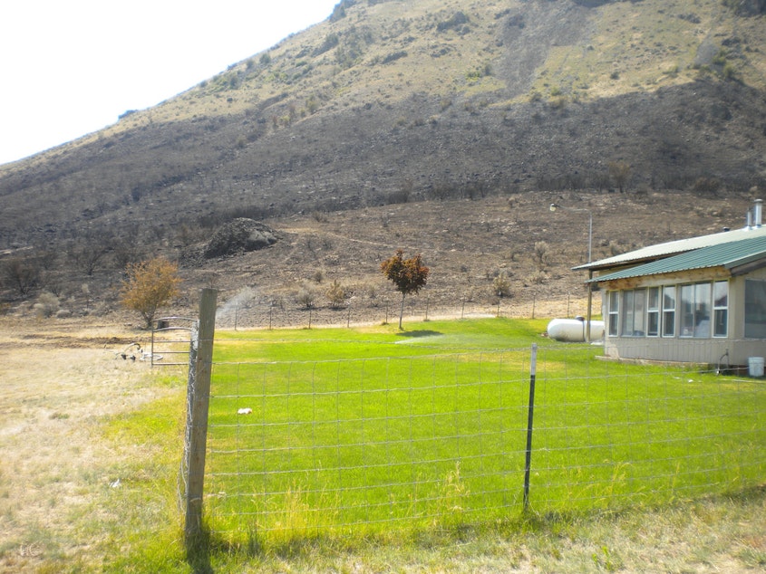 caption: This small house was saved by defensible space at the Chelan Butte Fire in 2011. The property had green grass all the way around. The owner is a former Forest Service employee who knows what it means to live in fire country.