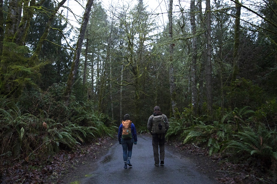 caption: Forest therapy guide and educator Julie Hepp, left, and Chris Morgan walk through the woods on Friday, January 18, 2019, at IslandWood, a learning center on Bainbridge Island.