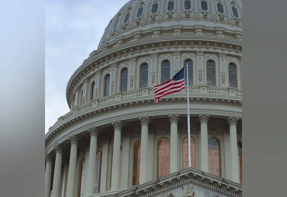 caption: The House passed a background check bill that would allow federal authorities more time to conduct background checks on would-be gun purchasers. The bill faces long odds of being adopted in the Senate.