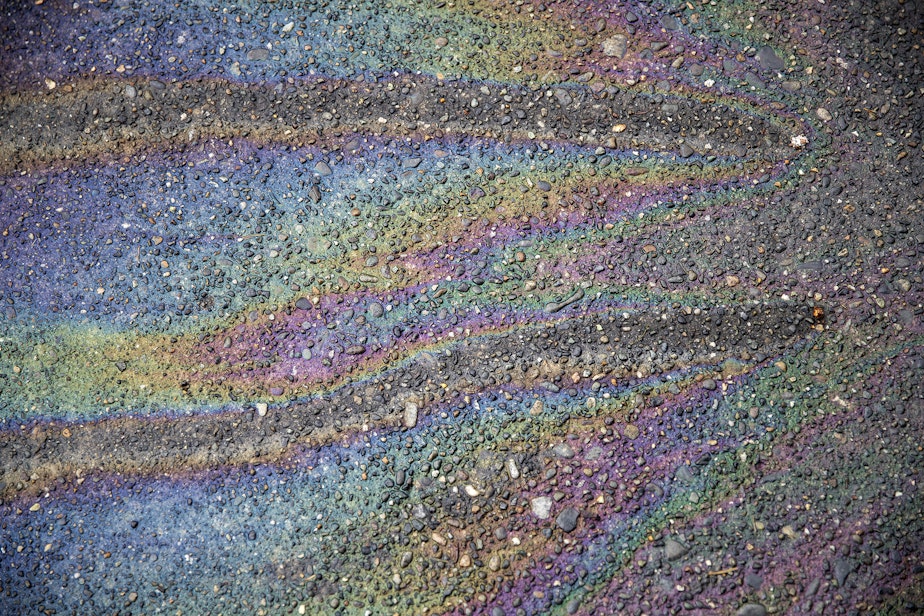 caption: Spring-like colors are visible in gasoline along Northwest 67th Street on Monday, March 3, 2025, in Seattle.