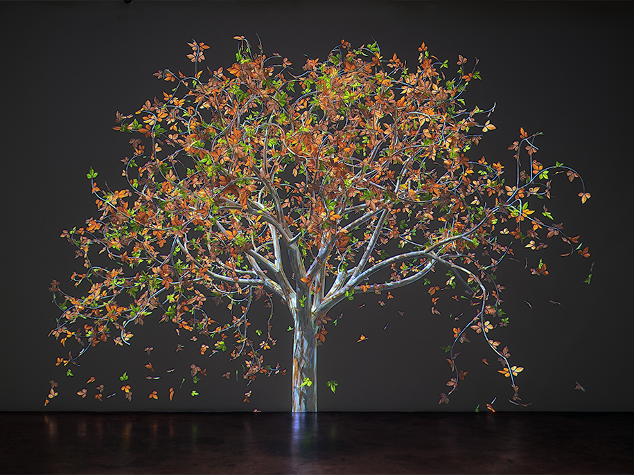 caption: In Jennifer Steinkamp's digital animations, trees gradually change color, lose leaves, sprout new leaves, grow flowers, and drop petals to the ground. She's done a series of such trees in honor of teachers who've had a profound influence on her.