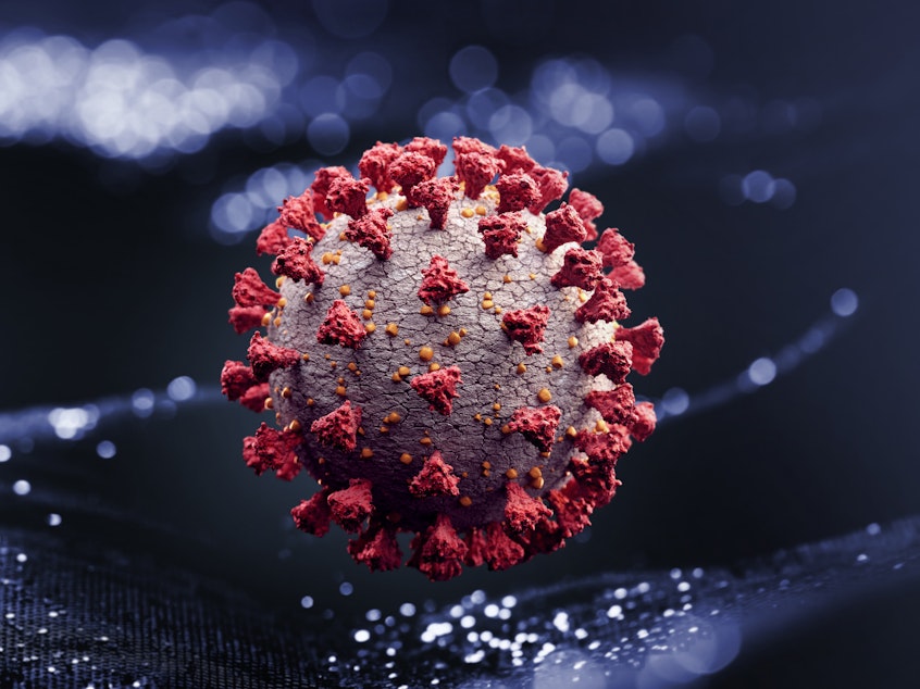 caption: A computer rendering of the SARS-COV-2 virus.