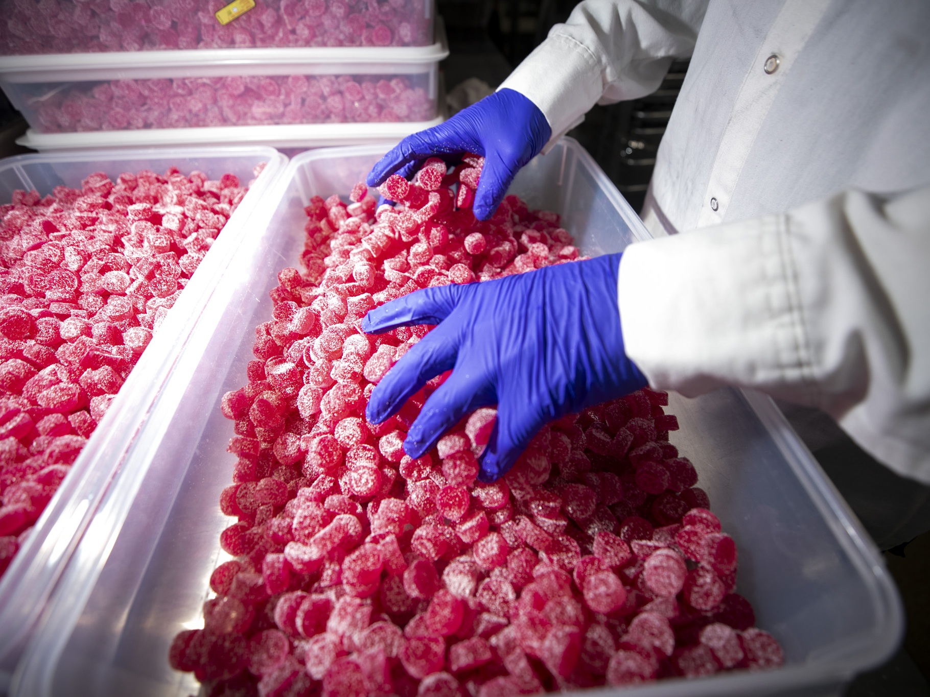 caption: Joe Ciulla handles Ript gummies before they're packaged at the Ripple Cannabis Co.'s production facility in Commerce City, Colo.