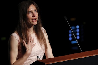 caption: Amanda Knox speaks at a Criminal Justice Festival at the University of Modena in 2019.