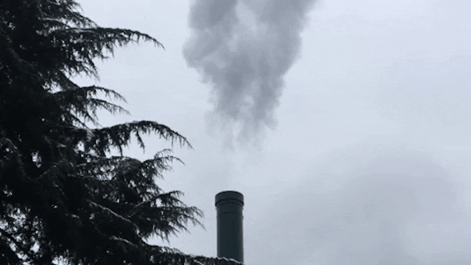 caption: Natural gas exhaust, mostly steam and heat-trapping carbon dioxide, rises from the University of Washington power plant.