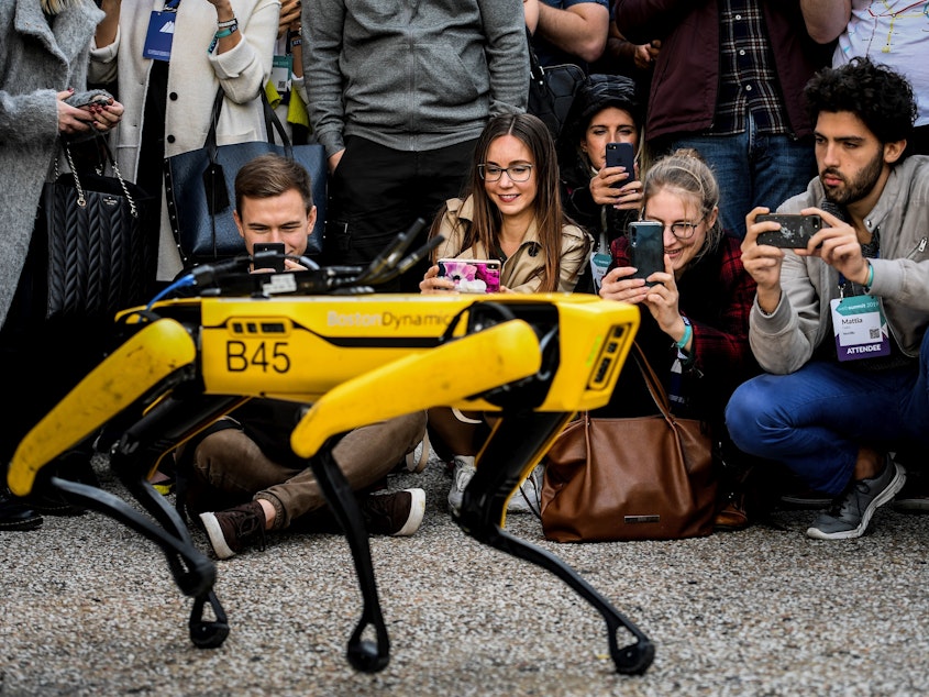 caption: People take pictures and videos of the Boston Dynamics robot Spot during an event in Lisbon in 2019.