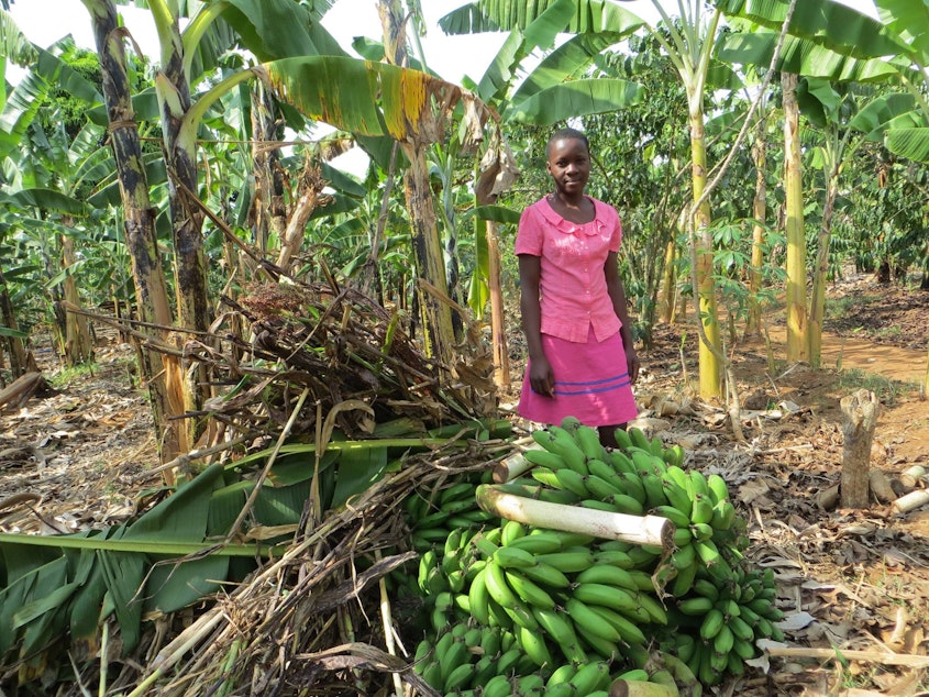caption: Lovincer from Uganda works managing her fresh banana business to support her family.