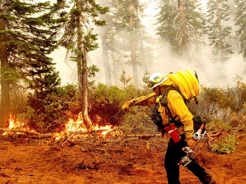 caption: Cal Fire Battalion Chief Craig Newell carries hose while battling the North Complex Fire in Plumas National Forest, Calif., on Monday.
