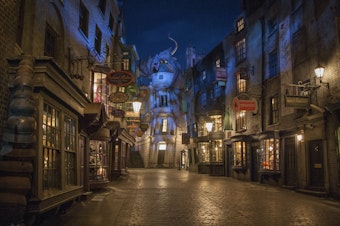 caption: The Wizarding World of Harry Potter - Diagon Alley in the Universal Studios Florida theme park is pictured here in June 2014. This world will once again be brought to life on screen as a television series executive produced by author J.K. Rowling.