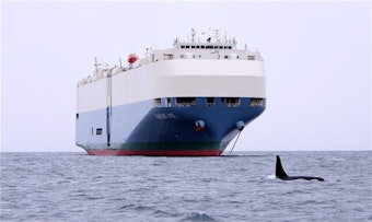 caption: A way to prevent large ships from striking and killing whales is to transmit alerts to the officers at the helm when whales are nearby.