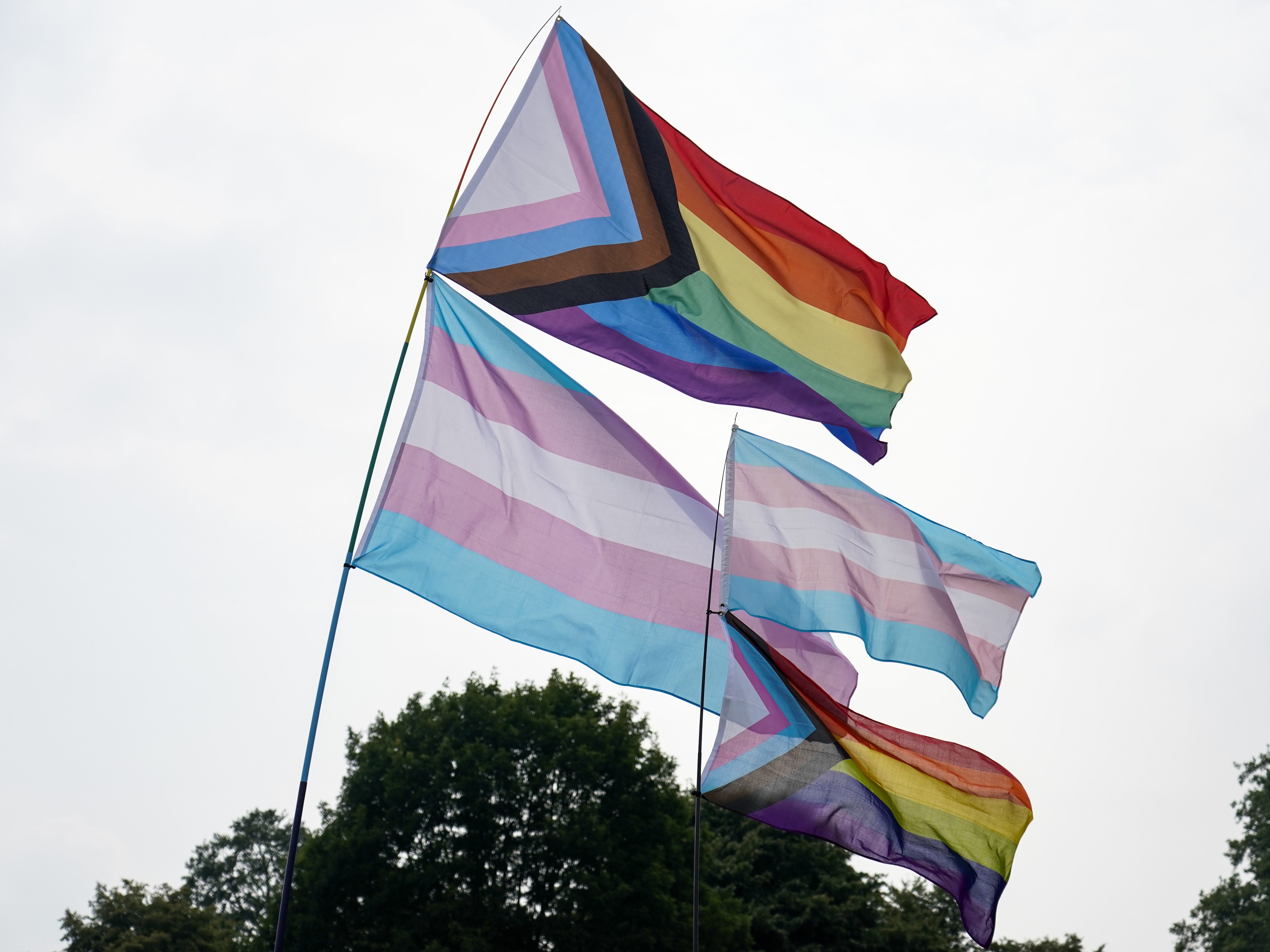caption: LGBTQ flags fly in London's Hyde Park on July 24, 2021.