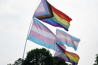 caption: LGBTQ flags fly in London's Hyde Park on July 24, 2021.