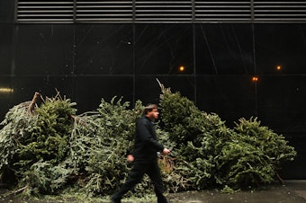 caption: A person passes a pile of discarded Christmas trees along a sidewalk in New York City on Jan. 14, 2014.