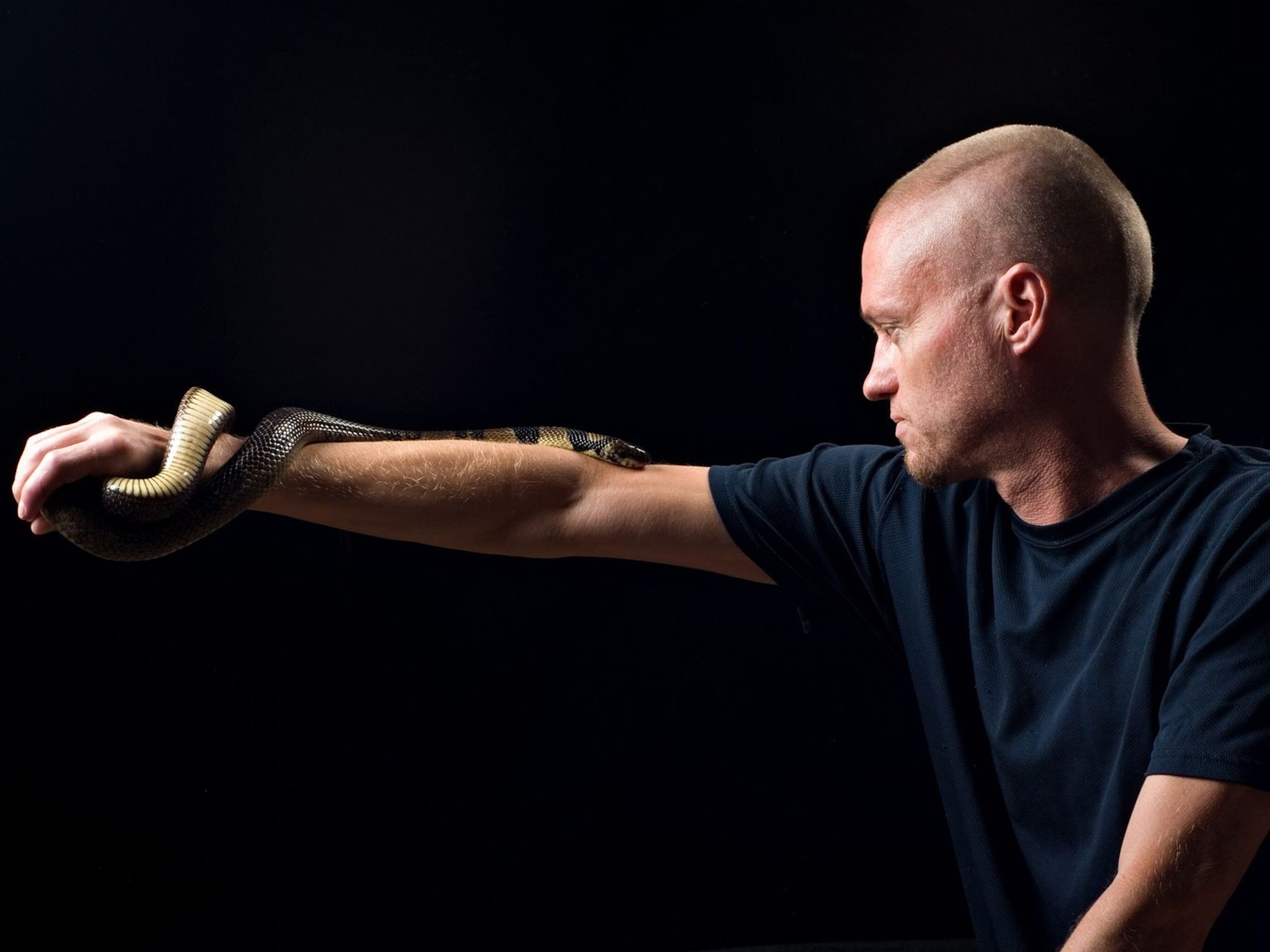 caption: Tim Friede, pictured here with a water cobra, exposed himself to snake venom over decades. Scientists say they have now made a broadly effective antivenom with the help of his antibodies.