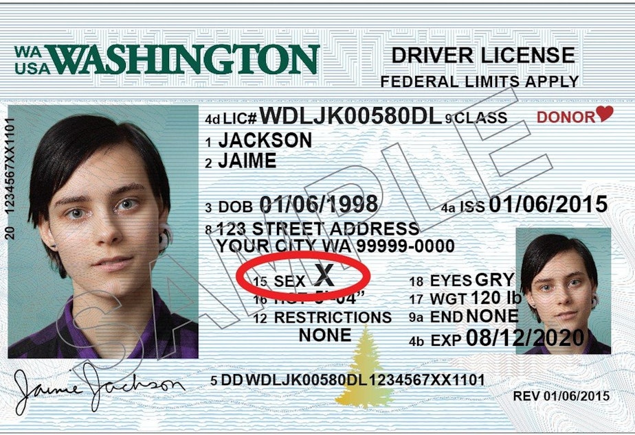 caption: A sample of the new potential driver's licenses with an X, rather than an M or F.