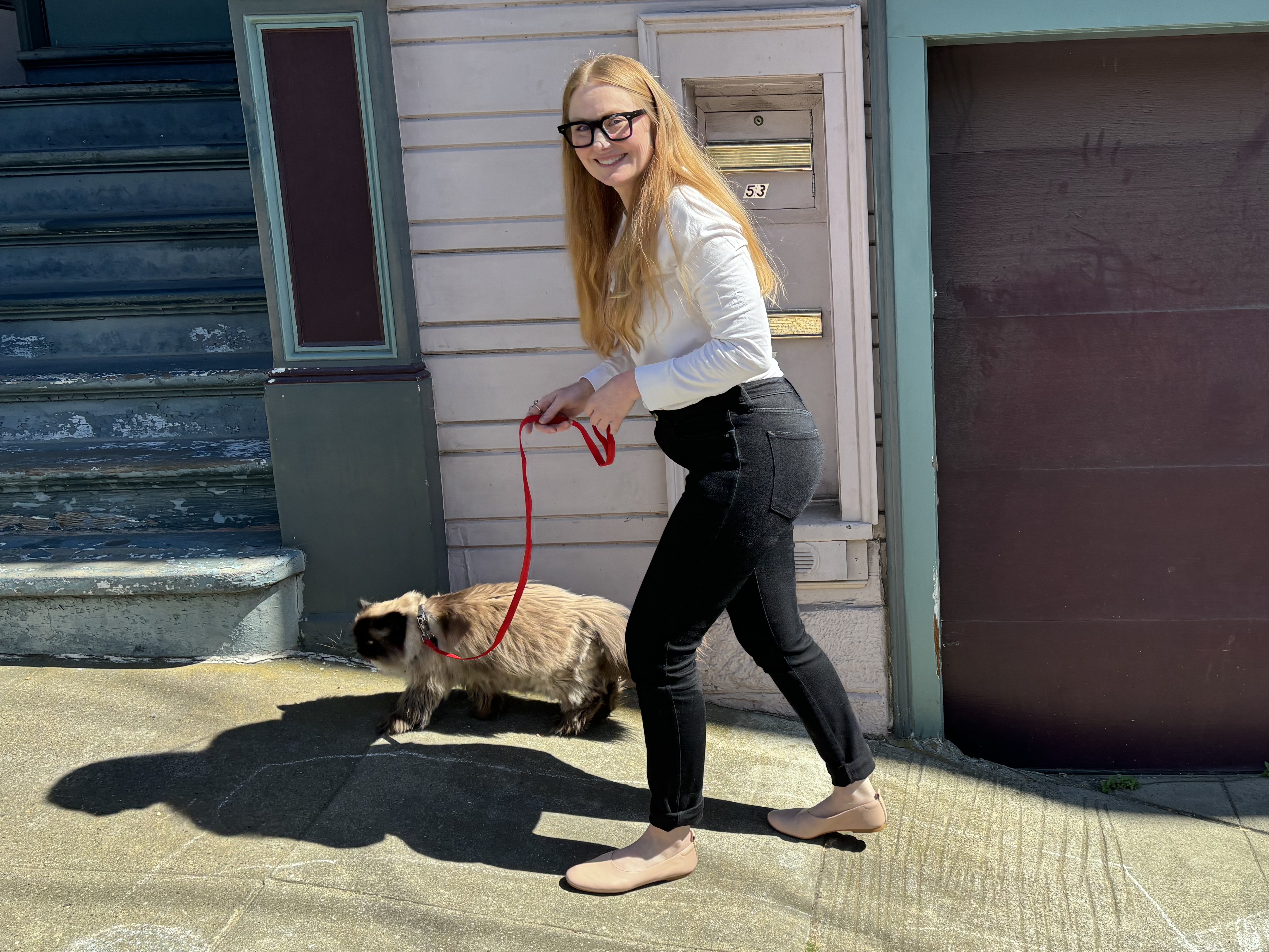 caption: Jennifer Privett takes her Himalayan cat Jean Claude out for a stroll in San Francisco on June 28.